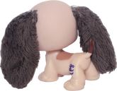 #2413 Basset Hound